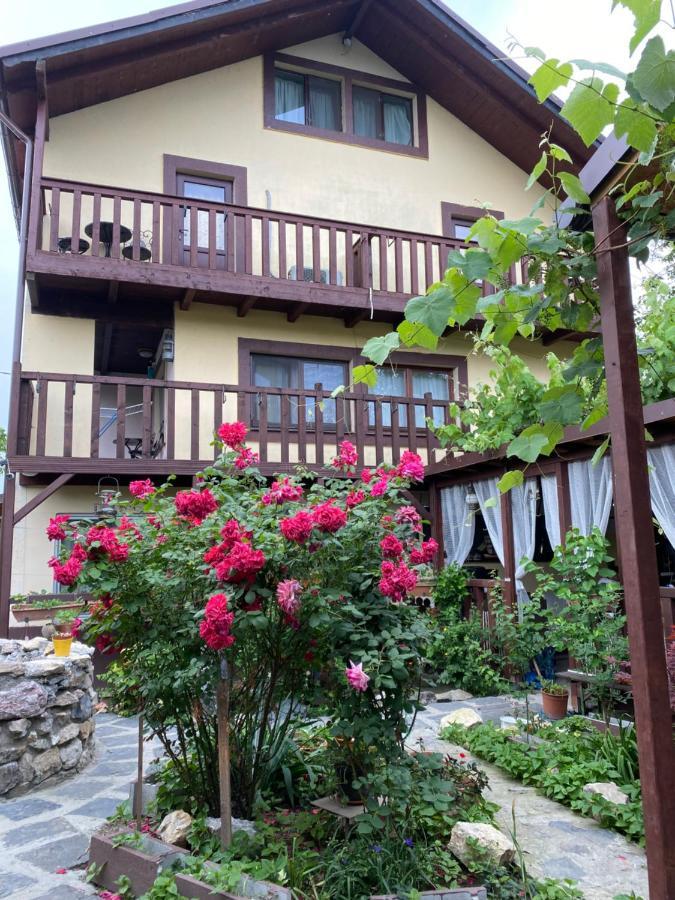 Готель Casa Donau Delta Суліна Екстер'єр фото