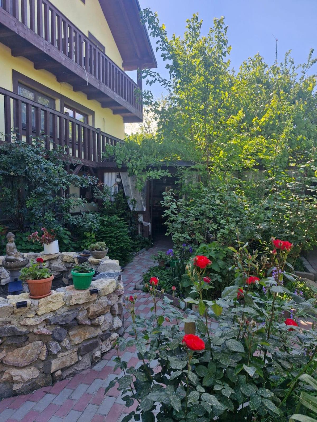 Готель Casa Donau Delta Суліна Екстер'єр фото